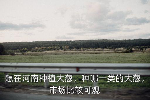 想在河南種植大蔥，種哪一類的大蔥，市場比較可觀