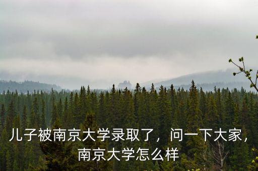 南京大學(xué)計(jì)算機(jī)多少分錄取,南京大學(xué)怎么樣