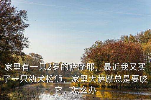 家里有一只2歲的薩摩耶，最近我又買了一只幼犬松獅，家里大薩摩總是要咬它，怎么辦