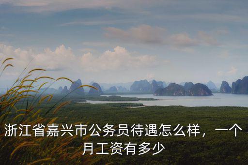 濮陽市稅務(wù)的工資怎么樣,現(xiàn)在稅務(wù)局的待遇怎么樣
