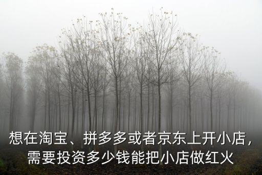 想在淘寶、拼多多或者京東上開小店，需要投資多少錢能把小店做紅火