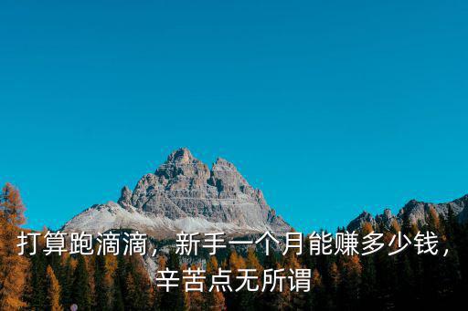打算跑滴滴，新手一個月能賺多少錢，辛苦點無所謂