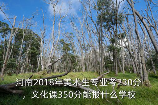 河南美術生文化課多少分,美術要考多少分才能上個二本