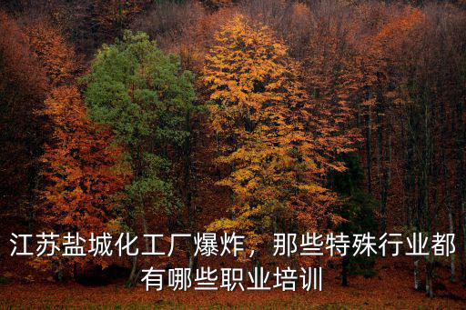 江蘇鹽城化工廠爆炸，那些特殊行業(yè)都有哪些職業(yè)培訓(xùn)