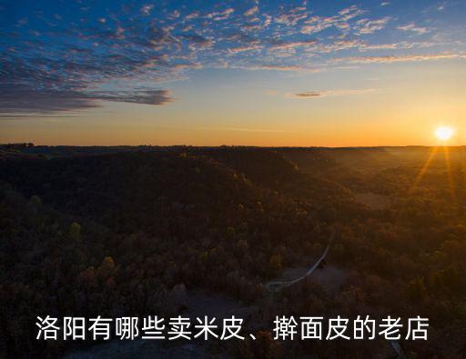 洛陽哪里有批發米皮的,洛陽有哪些賣米皮