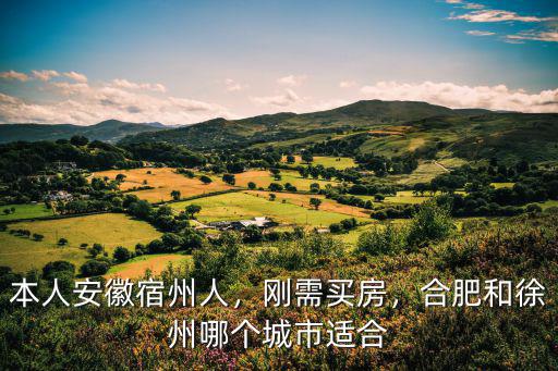 本人安徽宿州人，剛需買房，合肥和徐州哪個城市適合