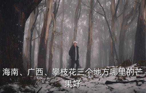 海南、廣西、攀枝花三個(gè)地方哪里的芒果好