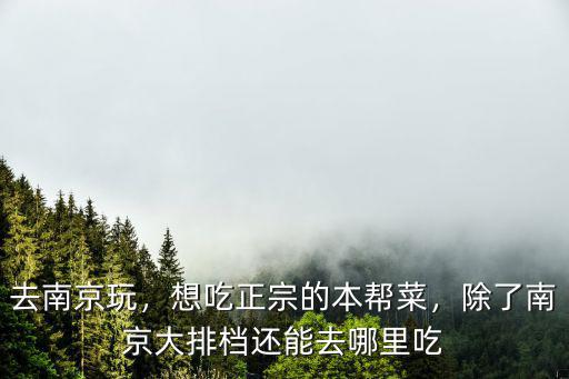 去南京玩，想吃正宗的本幫菜，除了南京大排檔還能去哪里吃