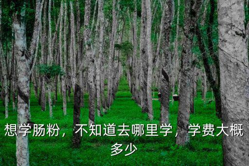 鎮(zhèn)江學做腸粉要多少錢,學做腸粉需要多少學費