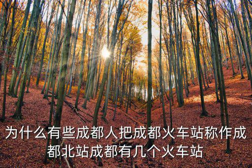 成都哪里可以打車票,成都東火車站在哪里