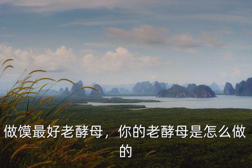 信陽饃皮是怎么做的,你的老酵母是怎么做的
