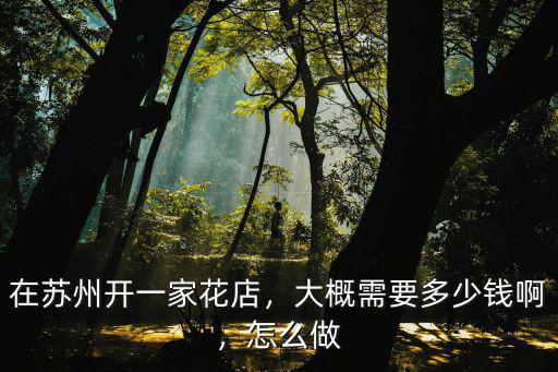 蘇州開個(gè)禮品店多少錢,飾品的精品店需投資多少錢