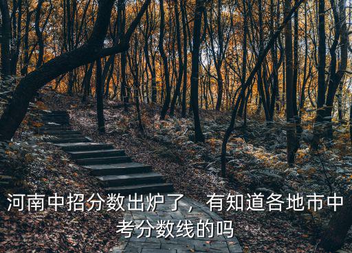 河南好高中的分數線是多少,有知道各地市中考分數線的嗎