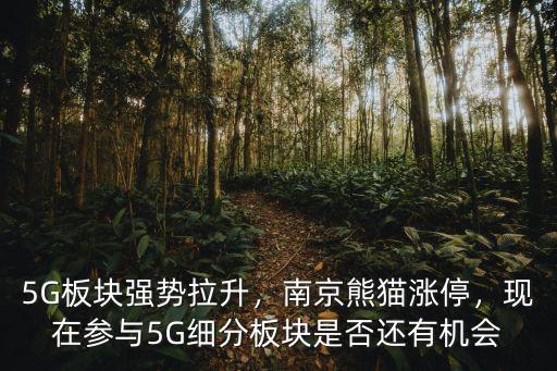 南京熊貓股票市值多少,南京熊貓漲停