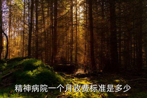 精神病院一個(gè)月收費(fèi)標(biāo)準(zhǔn)是多少