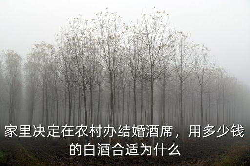 家里決定在農村辦結婚酒席，用多少錢的白酒合適為什么