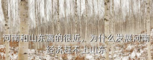 河南和山東離的很近，為什么發(fā)展河南經(jīng)濟(jì)趕不上山東