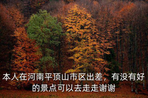 平頂山市上邱線10公里在哪里,平頂山未來發展機遇在哪里