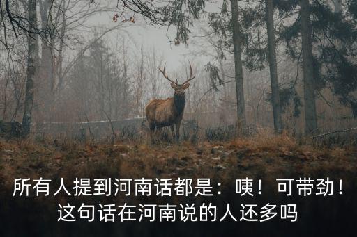 河南話都是一家人怎么說,所有人提到河南話都是