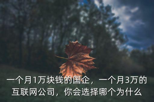 互聯網多少錢一個月南通,一個月1萬塊錢的國企