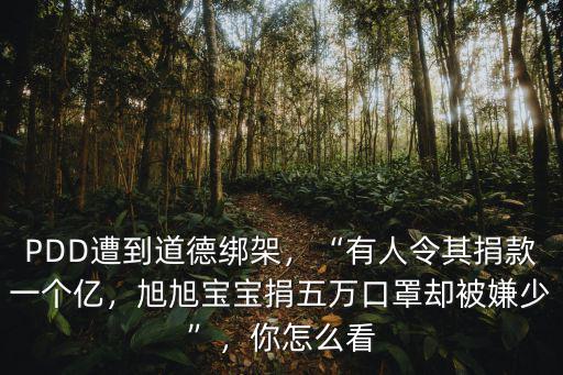 PDD遭到道德綁架，“有人令其捐款一個億，旭旭寶寶捐五萬口罩卻被嫌少”，你怎么看