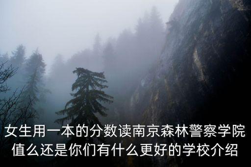 女生用一本的分數讀南京森林警察學院值么還是你們有什么更好的學校介紹