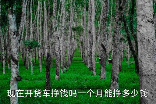 現在開貨車掙錢嗎一個月能掙多少錢