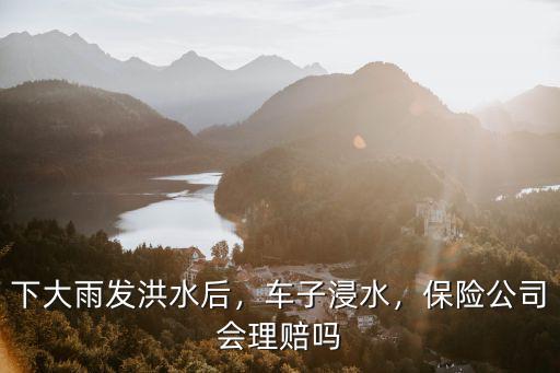 下大雨發洪水后，車子浸水，保險公司會理賠嗎