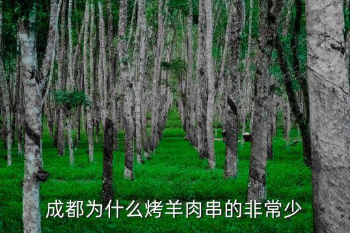 成都為什么烤羊肉串的非常少