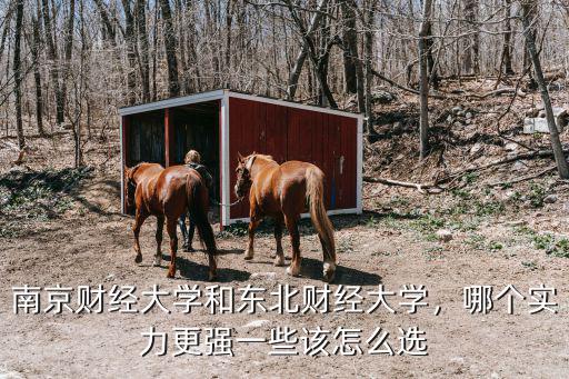 南京財(cái)經(jīng)大學(xué)的錄取分是多少,南京財(cái)經(jīng)大學(xué)和江西財(cái)經(jīng)大學(xué)