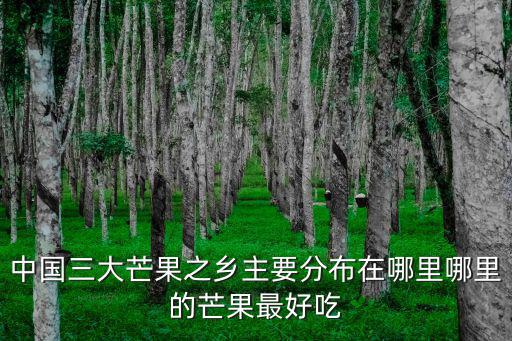 中國(guó)三大芒果之鄉(xiāng)主要分布在哪里哪里的芒果最好吃