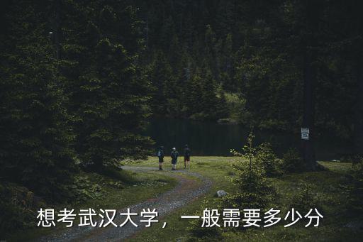 無錫高考武漢大學需要多少名,一般需要多少分