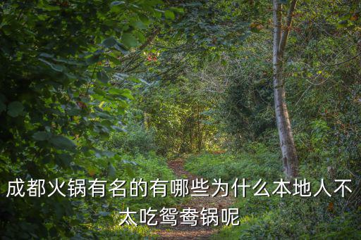 成都火鍋鴛鴦鍋哪里有賣,成都火鍋有名的有哪些