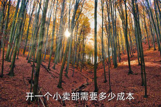 在南京開小超市要多少錢一個(gè)月多少錢一個(gè)月,開一個(gè)小賣部需要多少成本