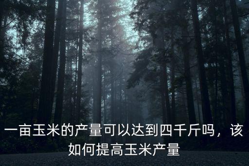 一畝玉米的產(chǎn)量可以達(dá)到四千斤嗎，該如何提高玉米產(chǎn)量
