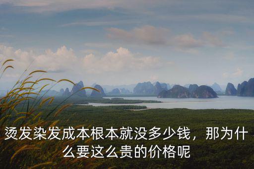 徐州燙發染發最貴多少錢啊,燙發染發成本根本就沒多少錢