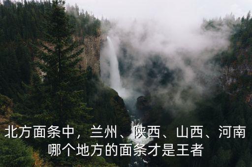 北方面條中，蘭州、陜西、山西、河南哪個地方的面條才是王者