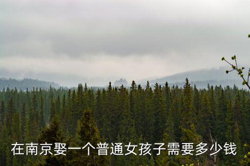 在南京娶一個普通女孩子需要多少錢