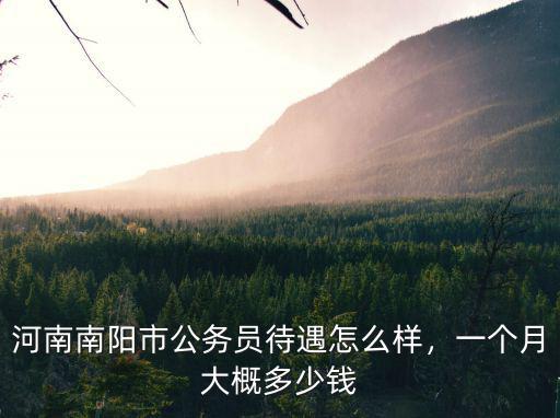 河南南陽市公務員待遇怎么樣，一個月大概多少錢