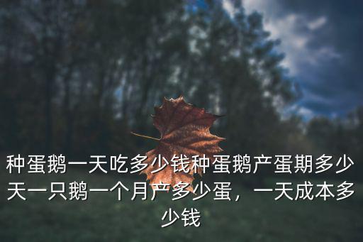 種蛋鵝一天吃多少錢種蛋鵝產蛋期多少天一只鵝一個月產多少蛋，一天成本多少錢