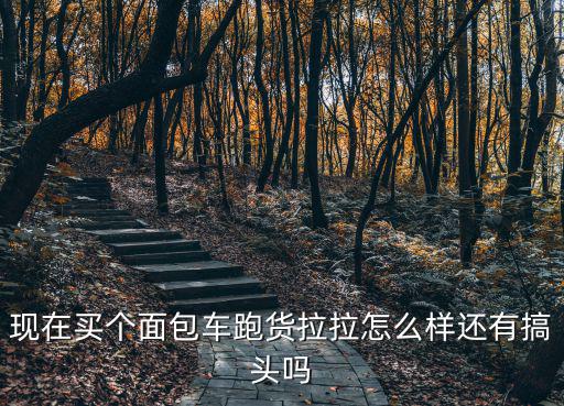 現在買個面包車跑貨拉拉怎么樣還有搞頭嗎
