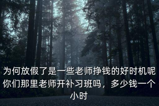 為何放假了是一些老師掙錢的好時機呢你們那里老師開補習班嗎，多少錢一個小時
