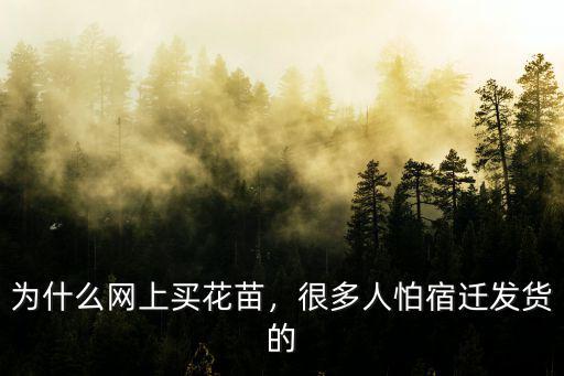 宿遷的姓氏是多少,為什么沭陽是宿遷的