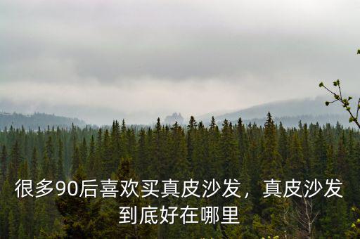 自貢真皮沙發(fā)哪里買,很多90后喜歡買真皮沙發(fā)