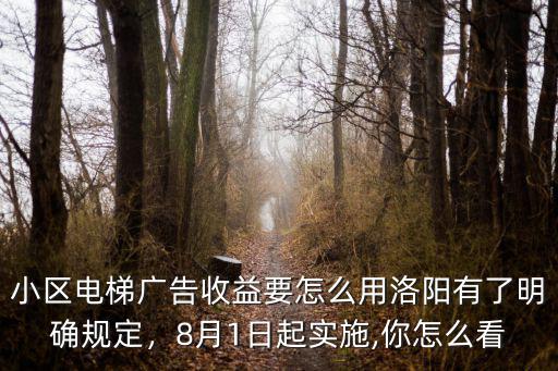 小區(qū)電梯廣告收益要怎么用洛陽(yáng)有了明確規(guī)定，8月1日起實(shí)施,你怎么看