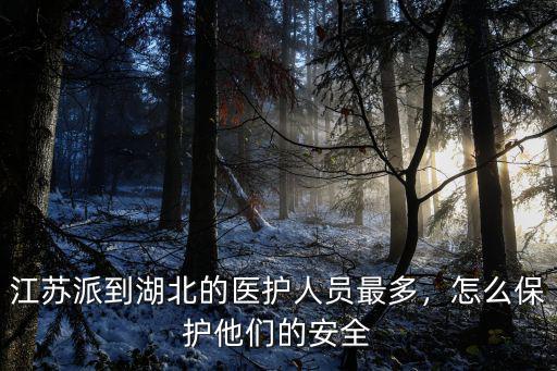 江蘇派到湖北的醫(yī)護人員最多，怎么保護他們的安全