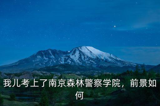 我兒考上了南京森林警察學院，前景如何