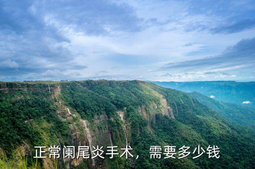 連云港闌尾炎手術多少錢啊,正常闌尾炎手術