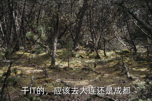 干IT的，應該去大連還是成都