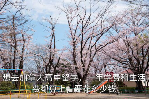 想去加拿大高中留學，一年學費和生活費都算上，要花多少錢